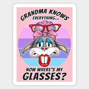 Grandma Knows Everything Funny Grandma Knows Best Mothers Day Magnet